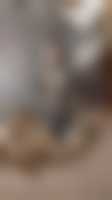 La photo du membre